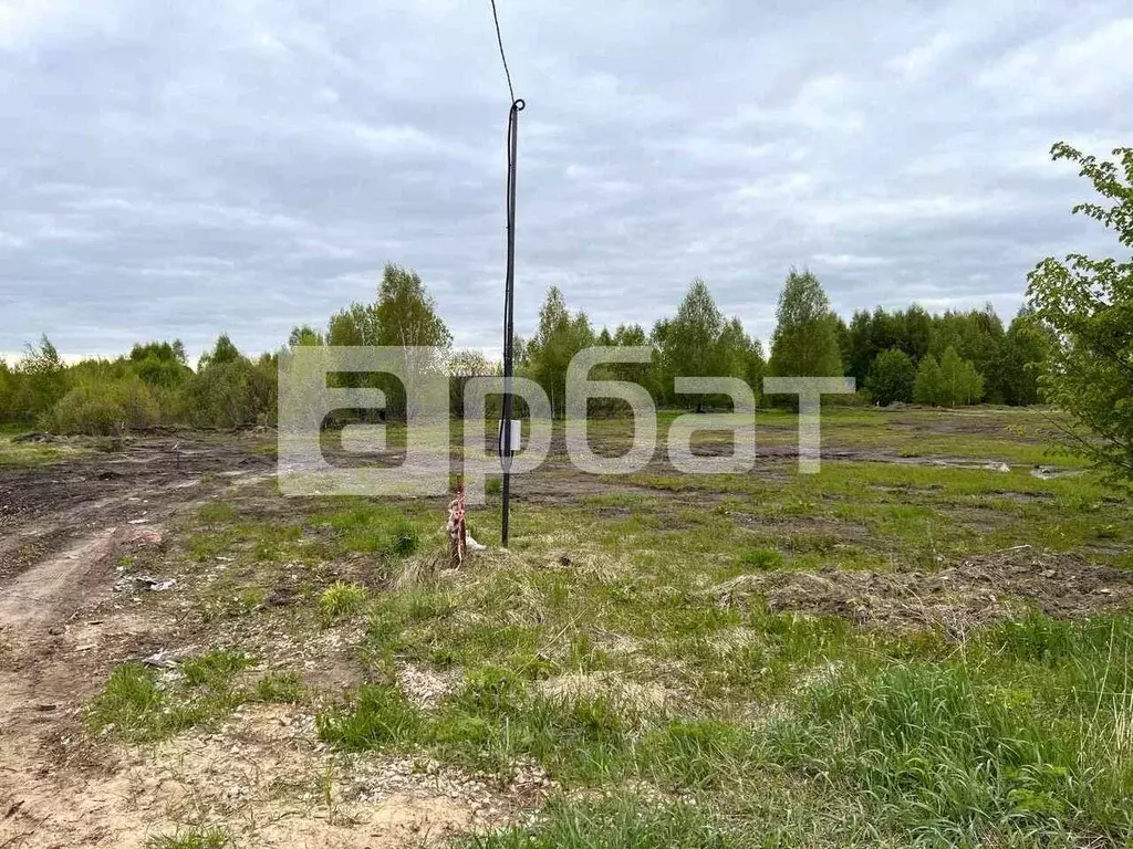 Участок в Нижегородская область, Богородский муниципальный округ, с. ... - Фото 0