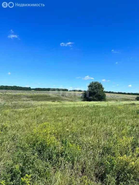 Участок в село Шишино, 2-й Весенний переулок (14 м) - Фото 1