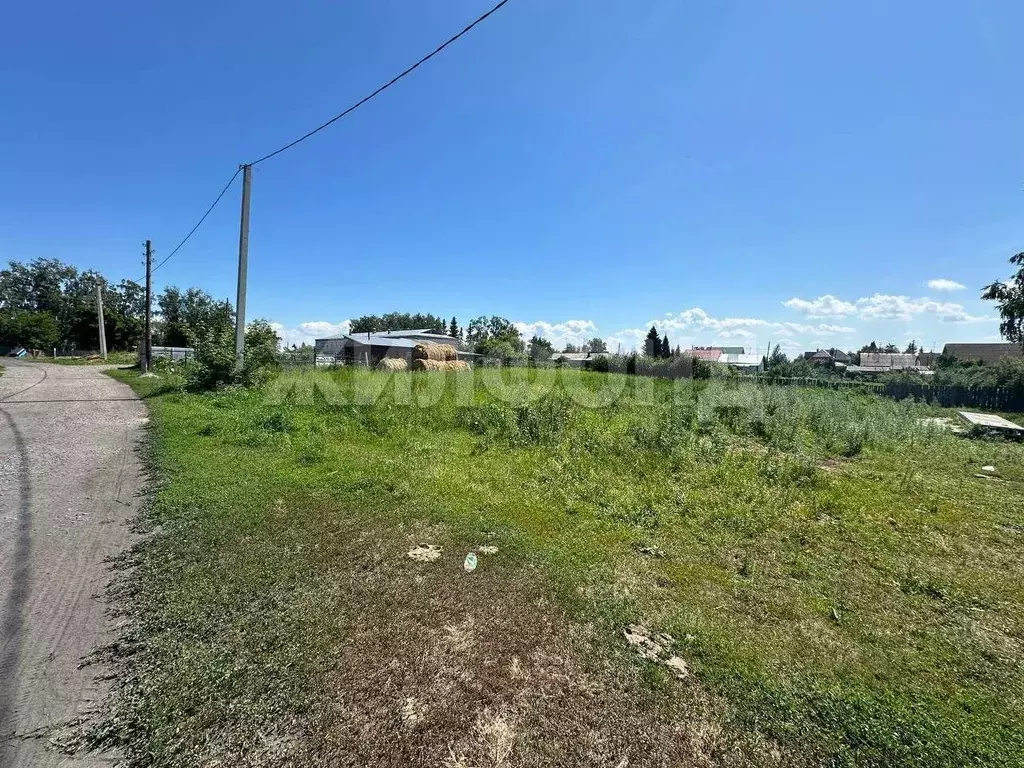 Участок в Новосибирская область, Новосибирский район, с. Боровое ... - Фото 2