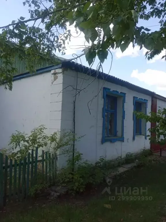 Помещение свободного назначения в Омская область, Нововаршавский ... - Фото 2