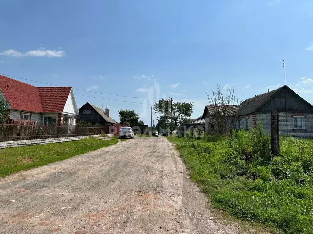 Участок в Брянская область, Брасовский район, Локоть рп пер. 2-й ... - Фото 2