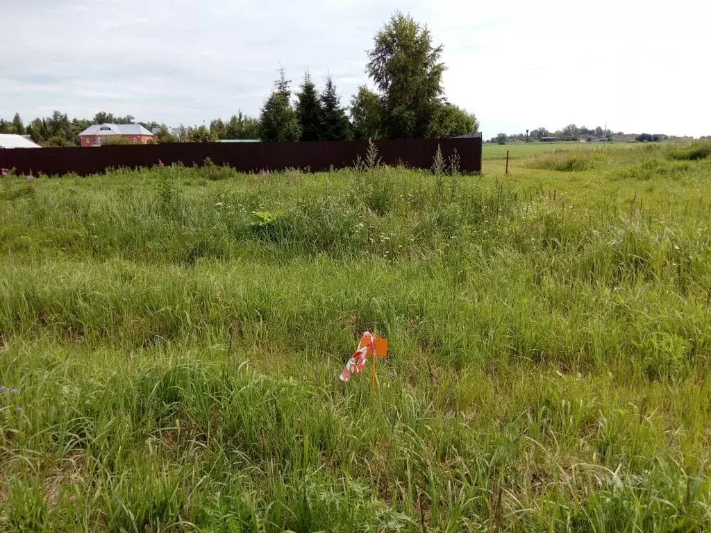 Участок в Московская область, Клин городской округ, д. Белавино 42 ... - Фото 2