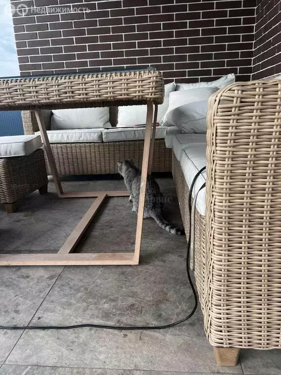 Дом в Тульская область, городской округ Новомосковск, деревня Красное ... - Фото 2