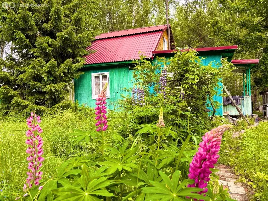 Дом в Орехово-Зуевский городской округ, СНТ Родник (42 м) - Фото 1