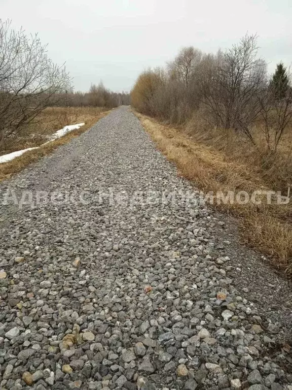 участок в тюменская область, нижнетавдинский район, березка снт ул. . - Фото 1