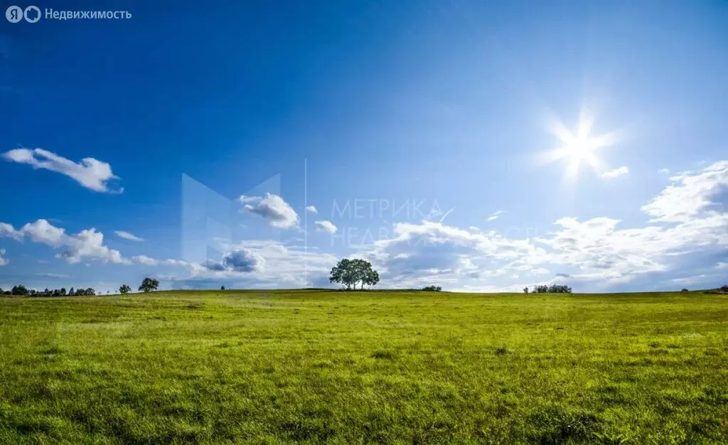 Участок в Тюменский район, деревня Криводанова (16.25 м) - Фото 1