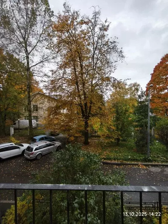 3-комнатная квартира: Санкт-Петербург, улица Беринга, 22 (56.7 м) - Фото 2