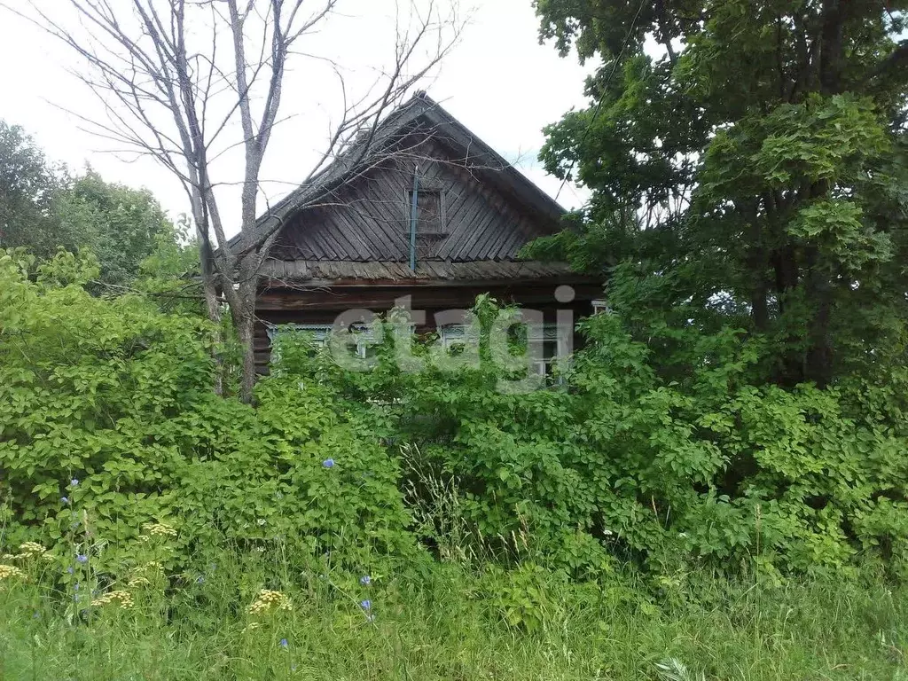 Участок в Костромская область, Красносельский район, Прискоковское ... - Фото 0