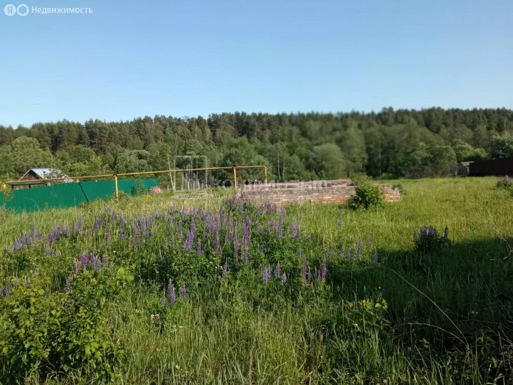 Участок в Владимирская область, Гусь-Хрустальный округ, муниципальное ... - Фото 1