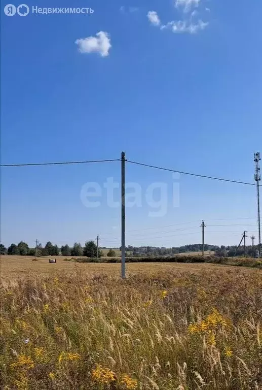 Участок в село Толмачево, Слободская улица (19.41 м) - Фото 2