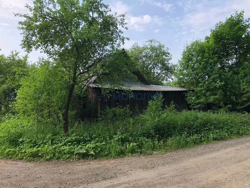 Участок в Нижегородская область, Богородский муниципальный округ, ... - Фото 1