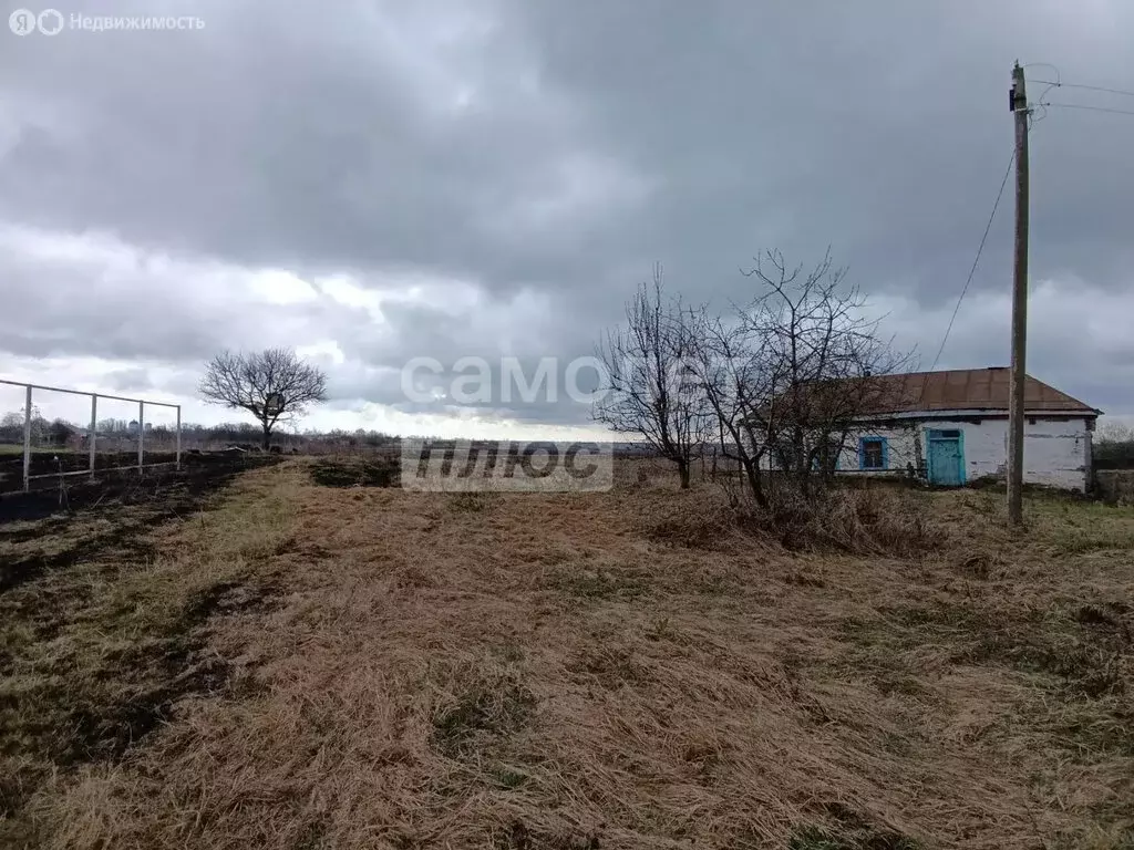 Участок в село Елецкая Лозовка, улица Гуркино, 3 (50 м) - Фото 1