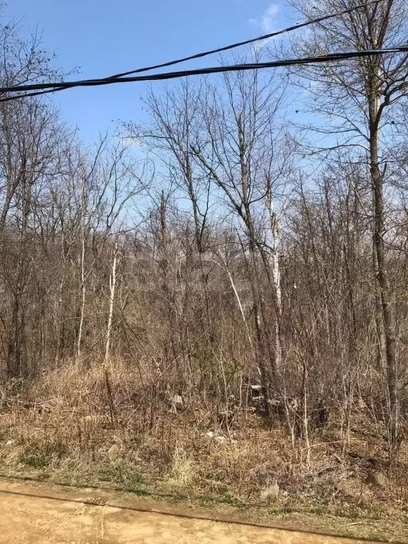 Участок в Приморский край, Владивостокский городской округ, пос. ... - Фото 0