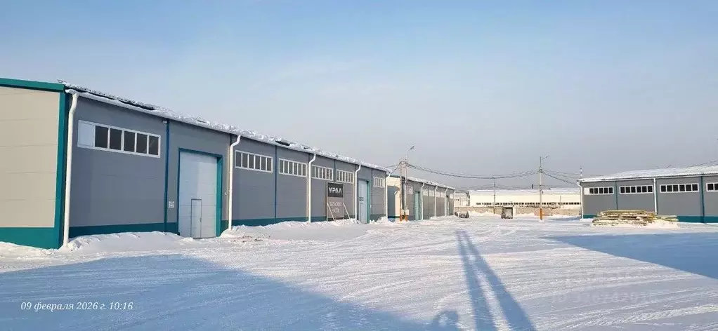 Склад в Свердловская область, Березовский Микрорайон Овощное ... - Фото 2