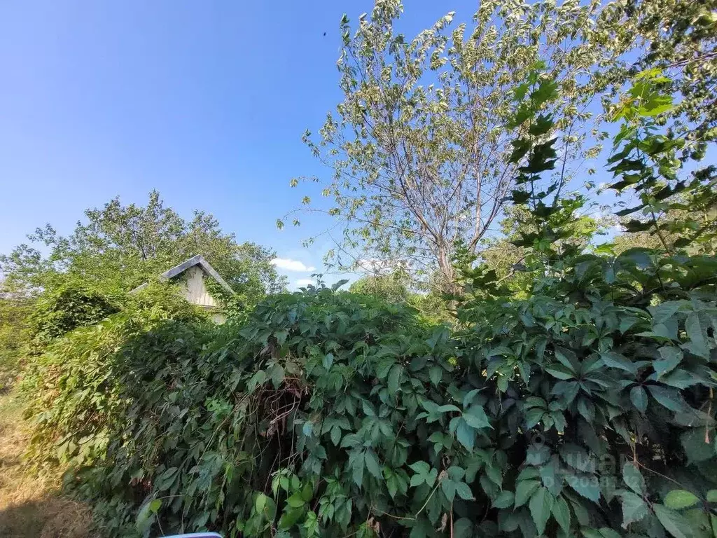 Участок в Ставропольский край, Железноводск Заря садовые участки, ул. ... - Фото 1