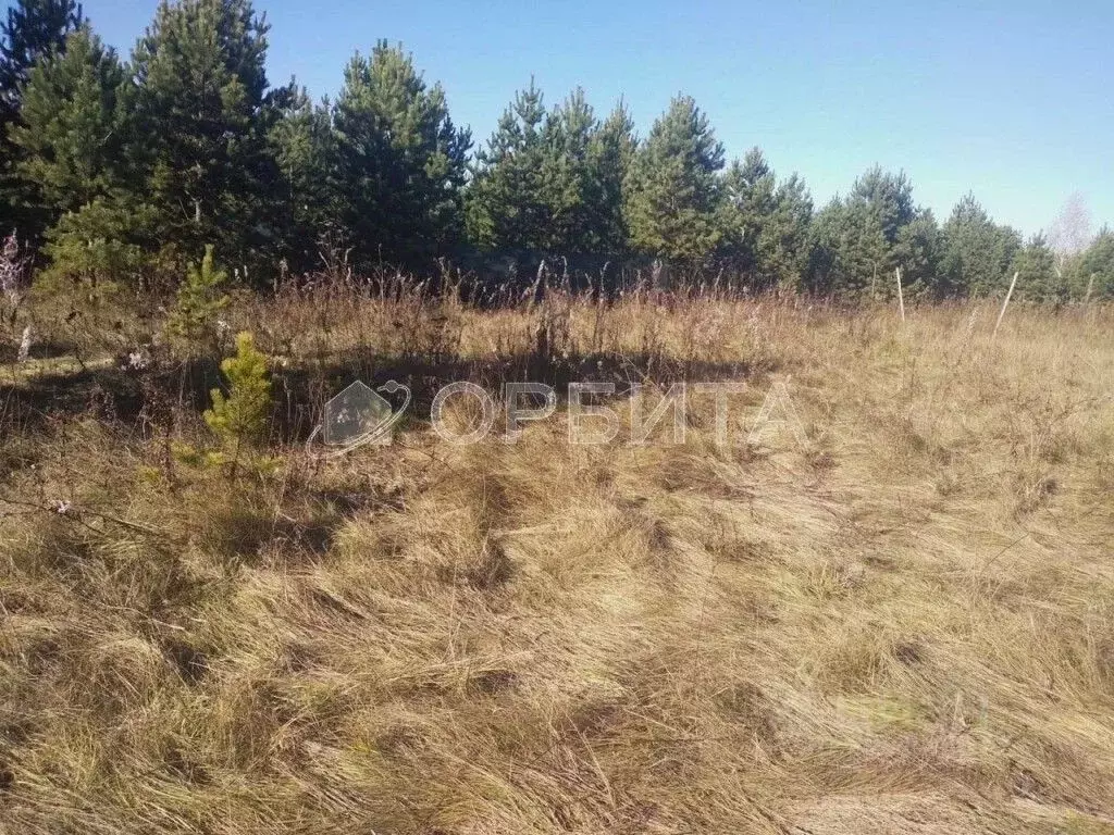 Участок в Свердловская область, Слободо-Туринский район, ... - Фото 1