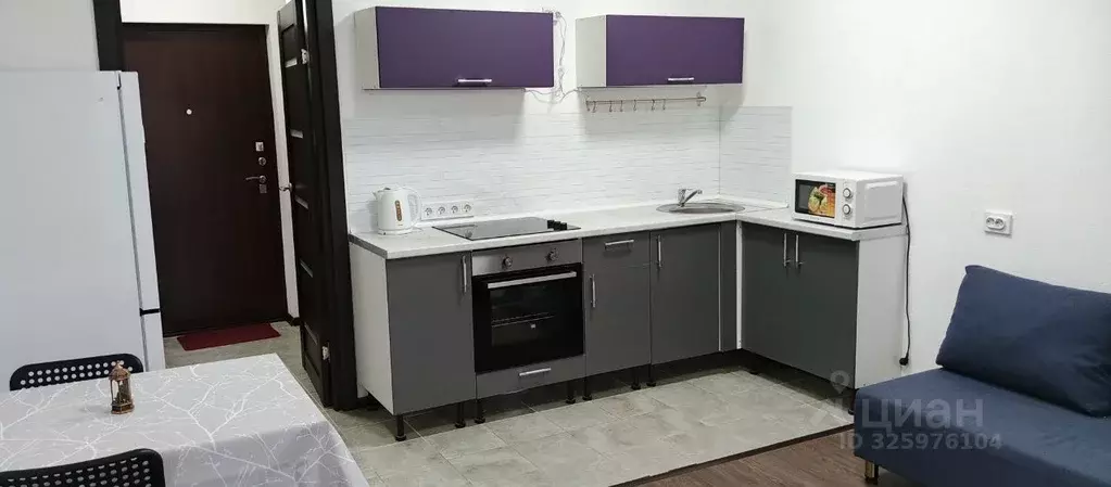 Студия Ленинградская область, Всеволожский район, пос. Бугры ул. ... - Фото 2