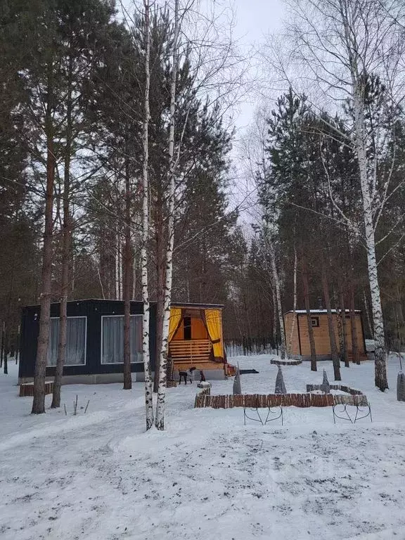 Дом в Тюменская область, Нижнетавдинский район, д. Красный Яр, ... - Фото 1