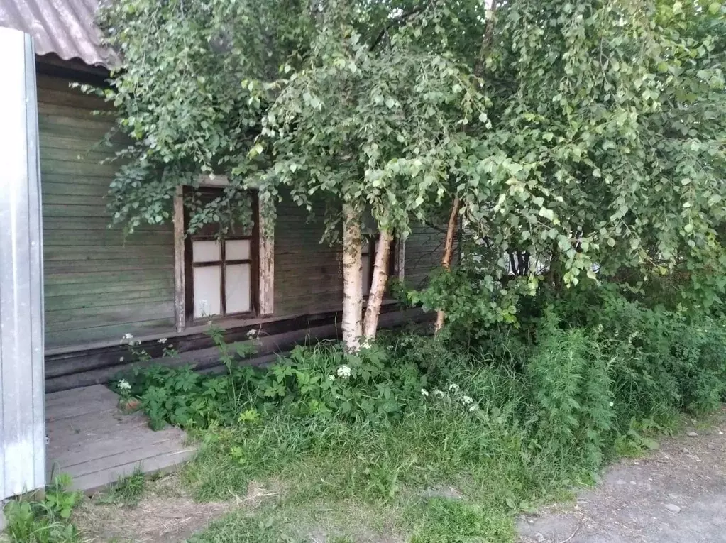 Дом в Карелия, Петрозаводск Прионежская ул., 20 (35 м) - Фото 2