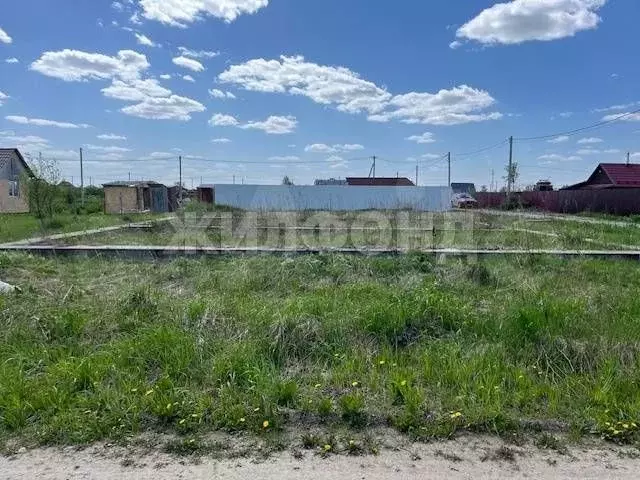 Участок 6 сот. (СНТ, ДНП) - Фото 1