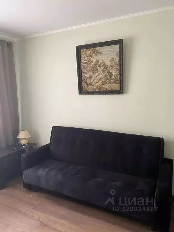 1-к кв. Московская область, Домодедово городской округ, с. Домодедово ... - Фото 1