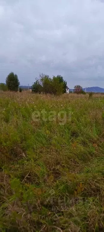 Участок в Алтай, Майминский район, с. Подгорное  (10.0 сот.) - Фото 0