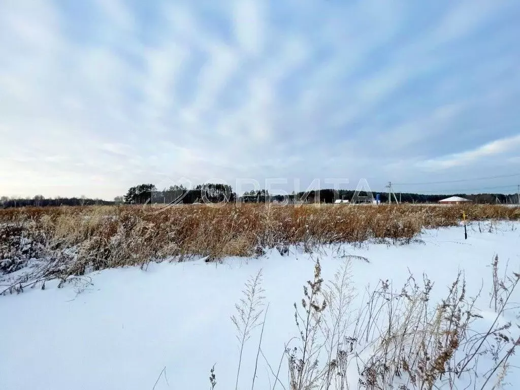 Участок в Тюменская область, Тюменский муниципальный округ, д. ... - Фото 2