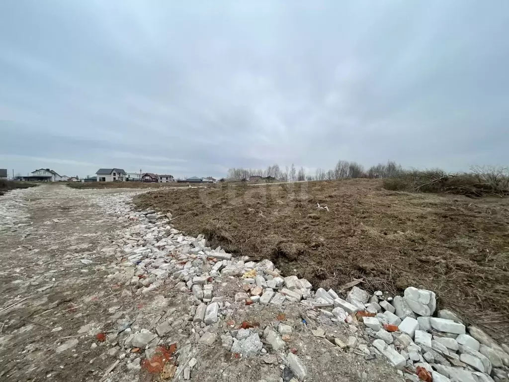 Участок в Калининградская область, Гурьевский муниципальный округ, ... - Фото 2