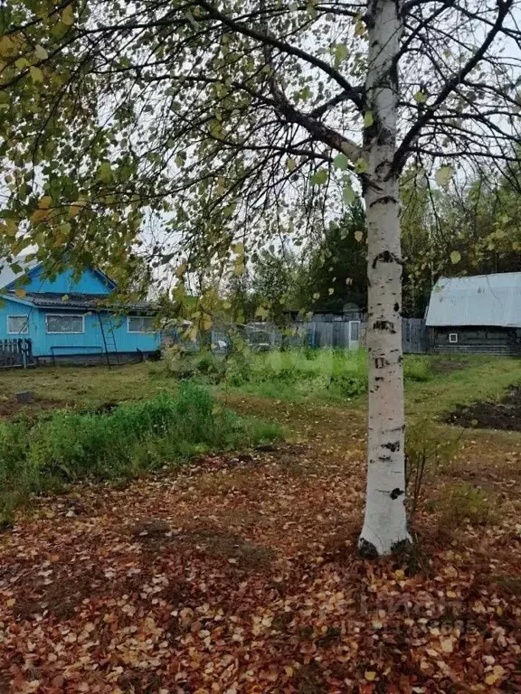 Дом в Коми, Сосногорск муниципальный округ, Сосногорск муниципальное ... - Фото 0