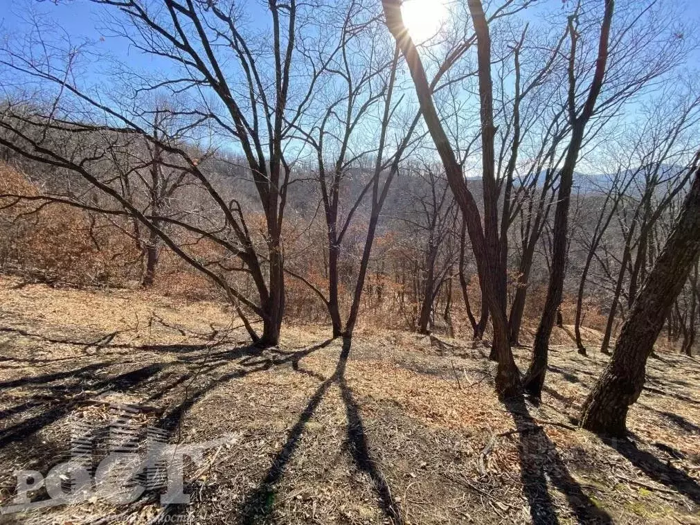 Участок в Приморский край, Артем ул. 3-я Ключевая (8.99 сот.) - Фото 2