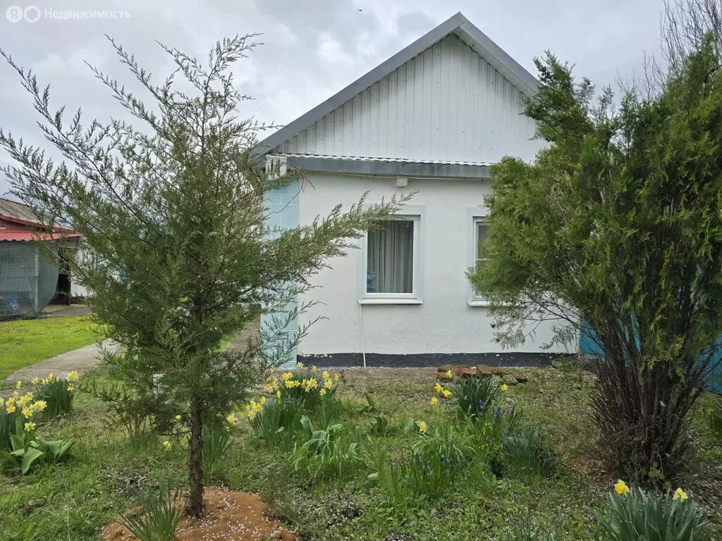 Дом в село Свободное, Комсомольская улица, 14 (70 м) - Фото 1