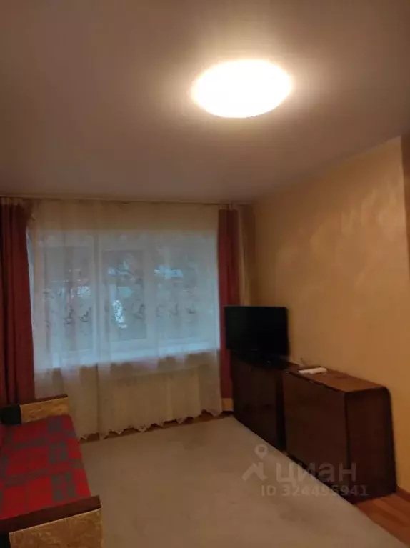 1-к кв. Владимирская область, Владимир Михайловская ул., 28А (31.0 м) - Фото 2