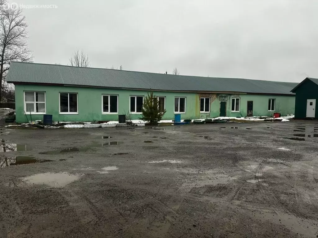 Помещение свободного назначения (2667.4 м) - Фото 0