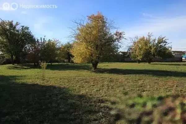 Участок в Ульяновская область, рабочий посёлок Старая Майна, улица ... - Фото 2