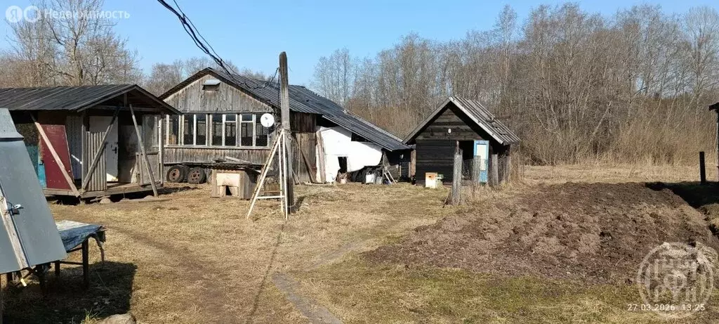 Дом в Новгородская область, Батецкий муниципальный округ, деревня ... - Фото 2