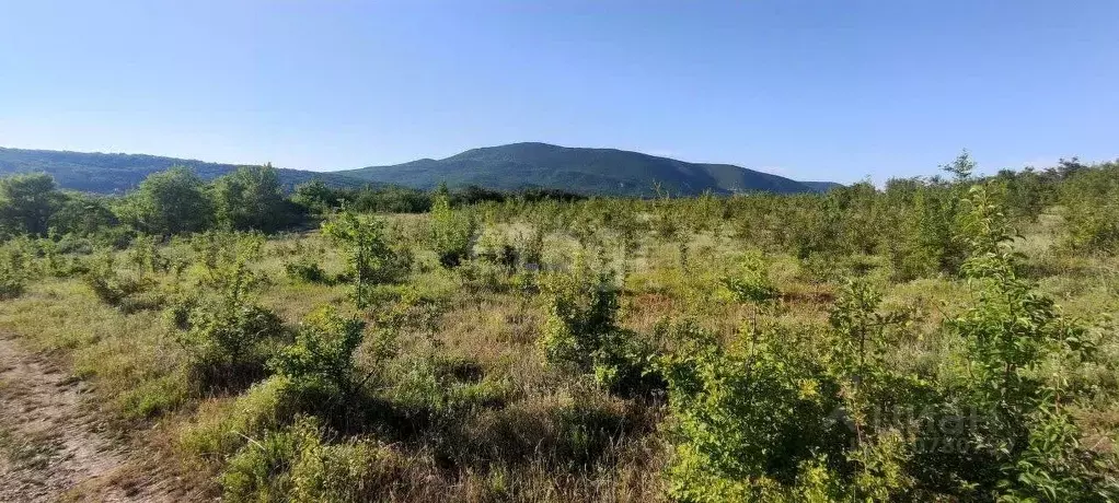 Участок в Крым, Кировский район, с. Яркое Поле ул. Комсомольская (15.0 ... - Фото 0