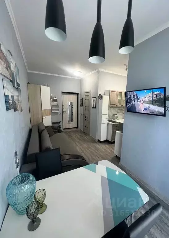 Студия Краснодарский край, Сочи ул. Ленина, 298В/1 (28.0 м) - Фото 1