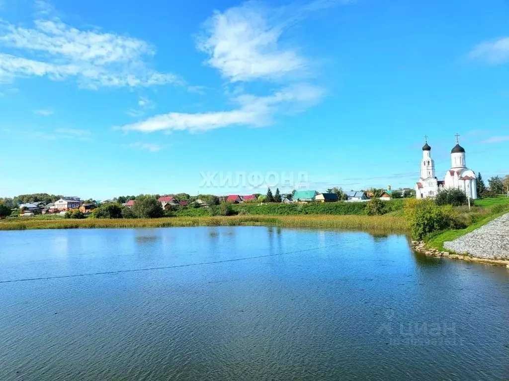 Участок в Новосибирская область, Искитимский район, д. Бурмистрово ... - Фото 0