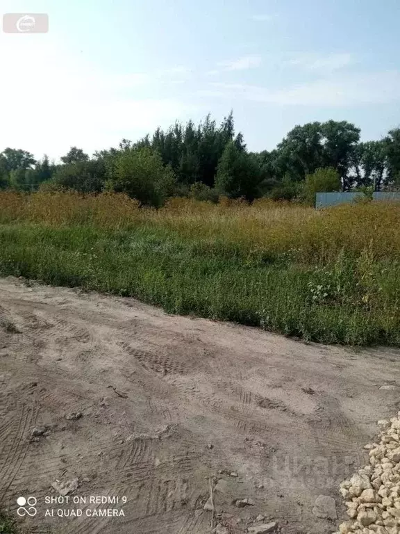 Участок в Воронежская область, с. Новая Усмань ул. Пятницкого (12.0 ... - Фото 1