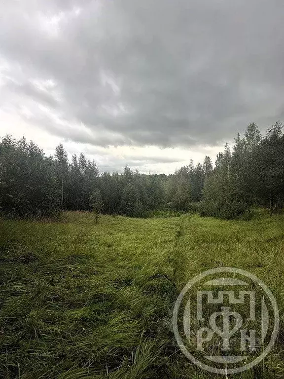 Участок в Ленинградская область, Всеволожский район, Колтушское ... - Фото 1