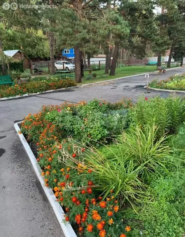 1-комнатная квартира: село Красноярка, Лесношкольная улица, 1 (36 м) - Фото 2