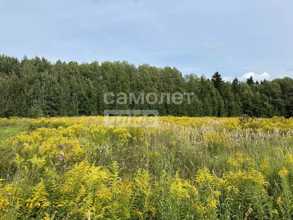 Участок в Удмуртия, Завьяловский район, д. Красный Кустарь ул. ... - Фото 0