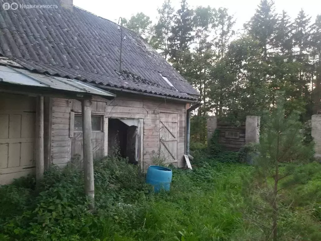 Дом в Псковская область, Пыталовский муниципальный округ, деревня ... - Фото 1