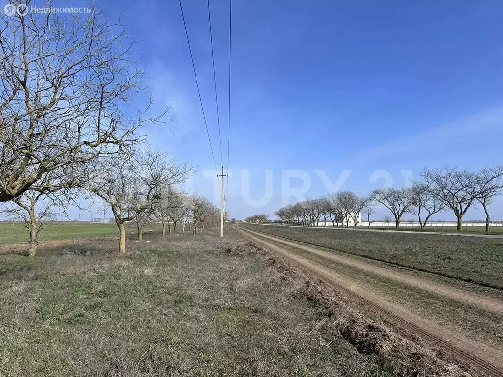 Участок в Молочное, Садовая улица (11 м) - Фото 2
