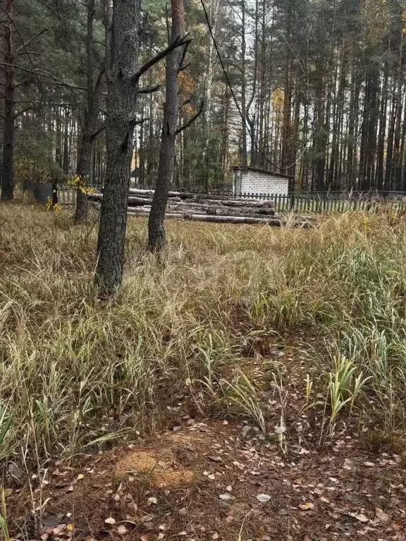 Участок в Брянская область, Брянский район, Свенское с/пос, пос. Свень ... - Фото 1