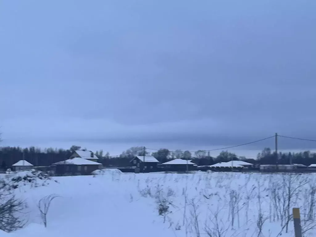 Участок в Новгородская область, Старорусский район, Ивановское с/пос, ... - Фото 2