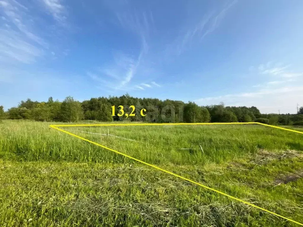 Участок в Вологодская область, д. Княгинино (Подлесный сельсовет)  ... - Фото 1