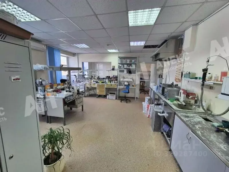 Помещение свободного назначения в Москва 2-я Магистральная ул., 14БС18 ... - Фото 2