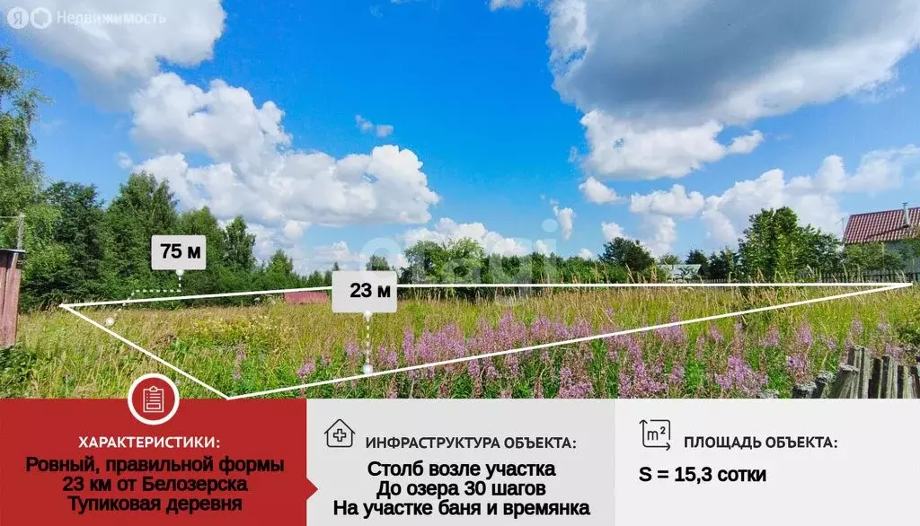 Участок в Вологодская область, Белозерский муниципальный округ, ... - Фото 1