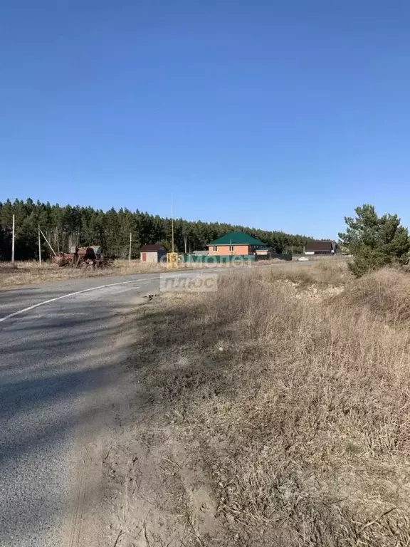 Участок в Омская область, Омский район муниципальный округ, с. ... - Фото 2